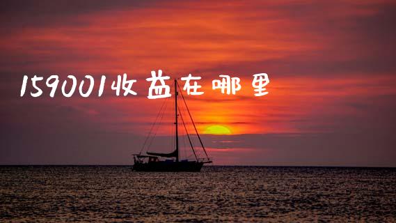 159001收益在哪里_https://wap.jnbaishite.cn_全球财富_第1张