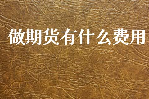 做期货有什么费用_https://wap.jnbaishite.cn_期货资讯_第1张