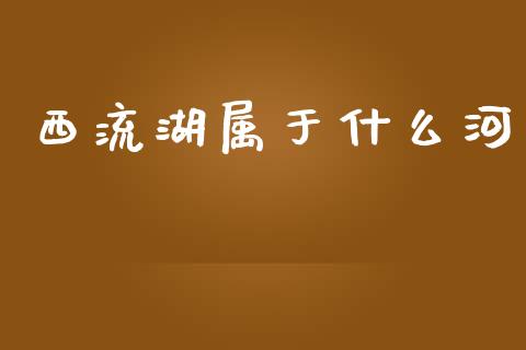 西流湖属于什么河_https://wap.jnbaishite.cn_全球财富_第1张