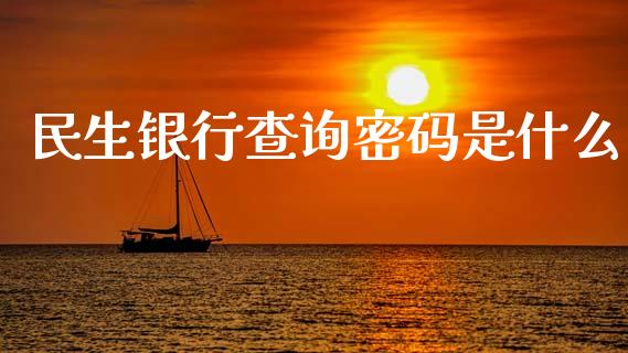 民生银行查询密码是什么_https://wap.jnbaishite.cn_全球财富_第1张