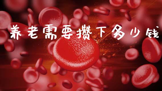 养老需要攒下多少钱_https://wap.jnbaishite.cn_期货资讯_第1张