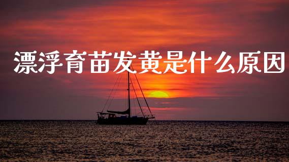 漂浮育苗发黄是什么原因_https://wap.jnbaishite.cn_理财投资_第1张