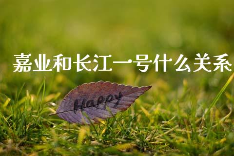 嘉业和长江一号什么关系_https://wap.jnbaishite.cn_全球财富_第1张