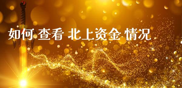 如何 查看 北上资金 情况_https://wap.jnbaishite.cn_全球财富_第1张