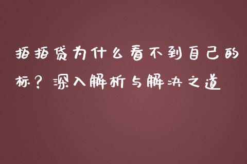 拍拍贷为什么看不到自己的标？深入解析与解决之道_https://wap.jnbaishite.cn_理财投资_第1张