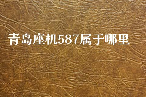 青岛座机587属于哪里_https://wap.jnbaishite.cn_金融资讯_第1张