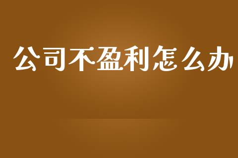 公司不盈利怎么办_https://wap.jnbaishite.cn_全球财富_第1张