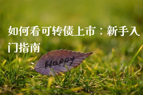 如何看可转债上市：新手入门指南_https://wap.jnbaishite.cn_理财投资_第1张