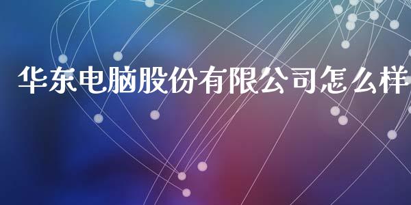 华东电脑股份有限公司怎么样_https://wap.jnbaishite.cn_金融资讯_第1张