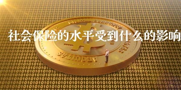 社会保险的水平受到什么的影响_https://wap.jnbaishite.cn_全球财富_第1张