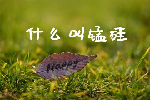 什么叫锰硅_https://wap.jnbaishite.cn_金融资讯_第1张
