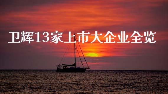 卫辉13家上市大企业全览_https://wap.jnbaishite.cn_理财投资_第1张