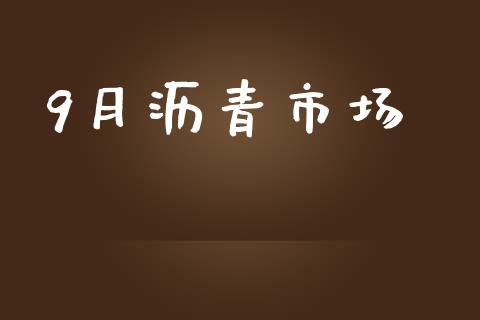 9月沥青市场_https://wap.jnbaishite.cn_金融资讯_第1张