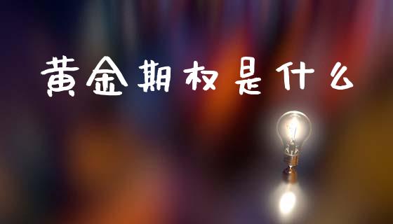 黄金期权是什么_https://wap.jnbaishite.cn_金融资讯_第1张