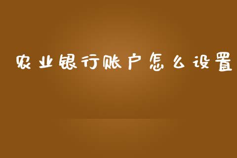 农业银行账户怎么设置_https://wap.jnbaishite.cn_理财投资_第1张