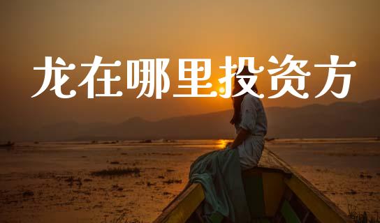 龙在哪里投资方_https://wap.jnbaishite.cn_理财投资_第1张