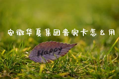安徽华夏集团贵宾卡怎么用_https://wap.jnbaishite.cn_全球财富_第1张