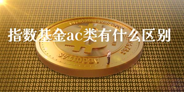 指数基金ac类有什么区别_https://wap.jnbaishite.cn_全球财富_第1张