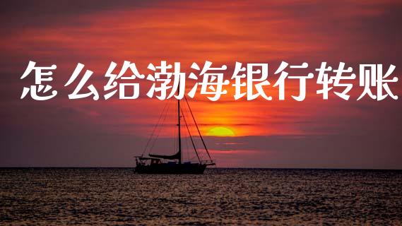 怎么给渤海银行转账_https://wap.jnbaishite.cn_期货资讯_第1张