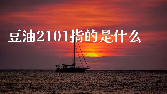 豆油2101指的是什么_https://wap.jnbaishite.cn_全球财富_第1张