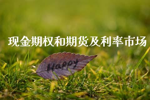 现金期权和期货及利率市场_https://wap.jnbaishite.cn_金融资讯_第1张