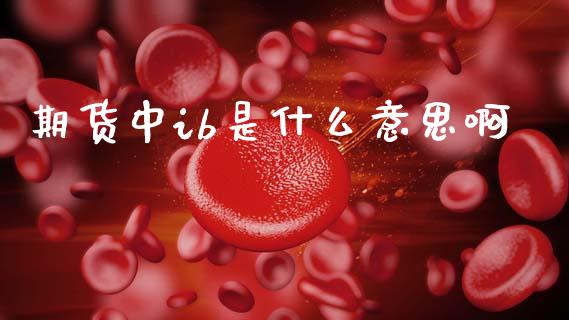 期货中ib是什么意思啊_https://wap.jnbaishite.cn_理财投资_第1张
