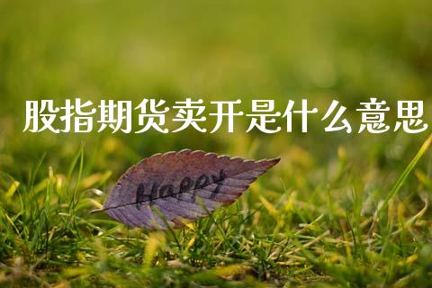 股指期货卖开是什么意思_https://wap.jnbaishite.cn_期货资讯_第1张