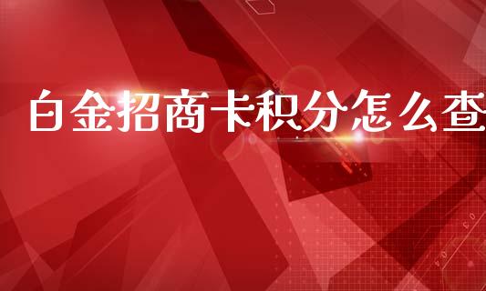 白金招商卡积分怎么查_https://wap.jnbaishite.cn_理财投资_第1张