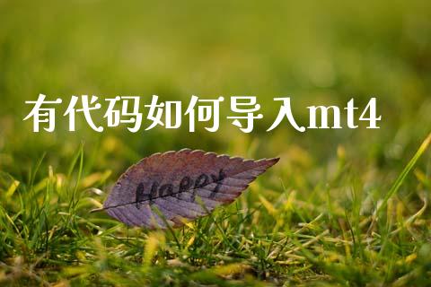 有代码如何导入mt4_https://wap.jnbaishite.cn_理财投资_第1张