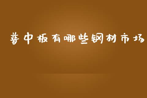 普中板有哪些钢材市场_https://wap.jnbaishite.cn_理财投资_第1张