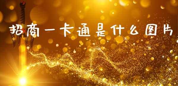 招商一卡通是什么图片_https://wap.jnbaishite.cn_期货资讯_第1张