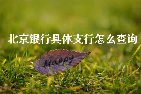 北京银行具体支行怎么查询_https://wap.jnbaishite.cn_理财投资_第1张