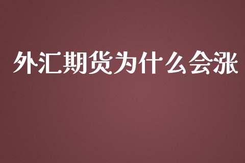 外汇期货为什么会涨_https://wap.jnbaishite.cn_期货资讯_第1张