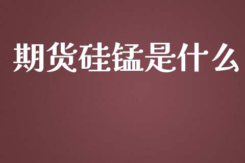 期货硅锰是什么_https://wap.jnbaishite.cn_理财投资_第1张