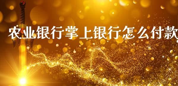 农业银行掌上银行怎么付款_https://wap.jnbaishite.cn_期货资讯_第1张