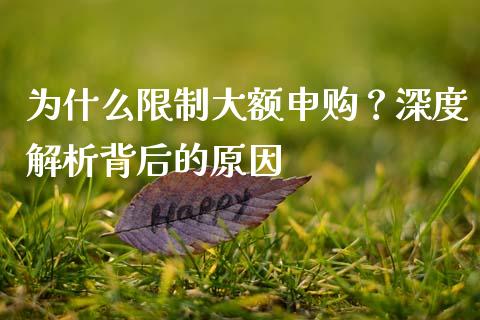 为什么限制大额申购？深度解析背后的原因_https://wap.jnbaishite.cn_期货资讯_第1张