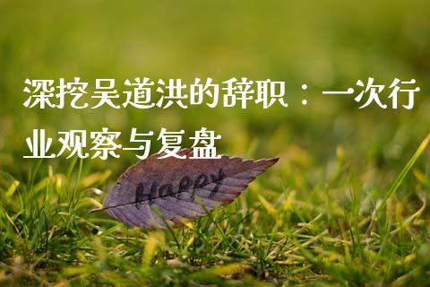 深挖吴道洪的辞职：一次行业观察与复盘_https://wap.jnbaishite.cn_期货资讯_第1张
