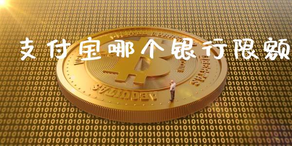 支付宝哪个银行限额_https://wap.jnbaishite.cn_金融资讯_第1张