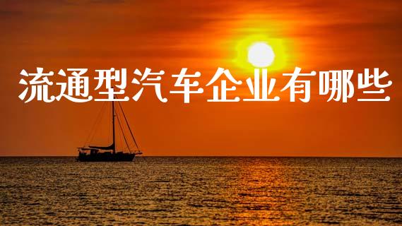 流通型汽车企业有哪些_https://wap.jnbaishite.cn_理财投资_第1张