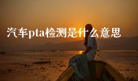 汽车pta检测是什么意思_https://wap.jnbaishite.cn_金融资讯_第1张