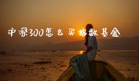 沪深300怎么买指数基金_https://wap.jnbaishite.cn_金融资讯_第1张