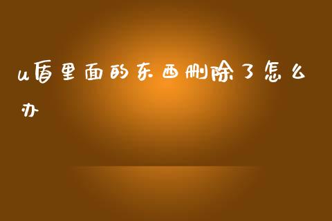 u盾里面的东西删除了怎么办_https://wap.jnbaishite.cn_理财投资_第1张