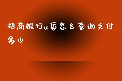 招商银行u盾怎么查询支付多少_https://wap.jnbaishite.cn_理财投资_第1张