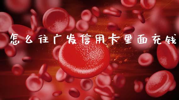怎么往广发信用卡里面充钱_https://wap.jnbaishite.cn_金融资讯_第1张