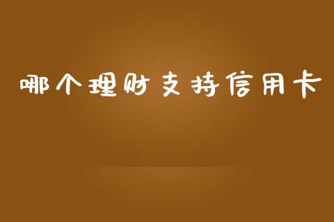 哪个理财支持信用卡_https://wap.jnbaishite.cn_理财投资_第1张