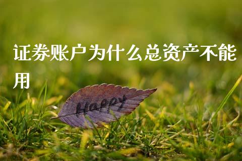 证券账户为什么总资产不能用_https://wap.jnbaishite.cn_全球财富_第1张