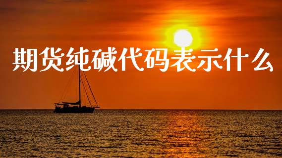 期货纯碱代码表示什么_https://wap.jnbaishite.cn_全球财富_第1张