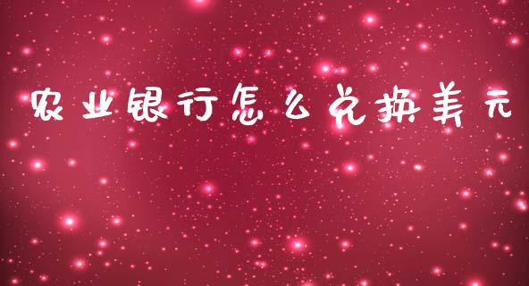 农业银行怎么兑换美元_https://wap.jnbaishite.cn_理财投资_第1张