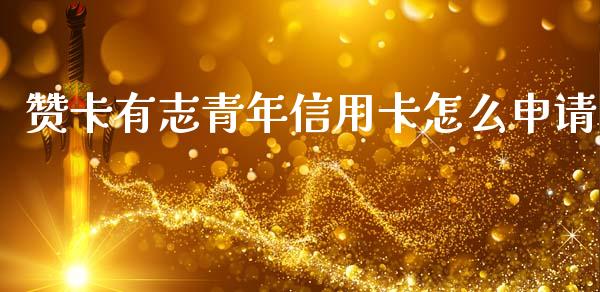 赞卡有志青年信用卡怎么申请_https://wap.jnbaishite.cn_全球财富_第1张