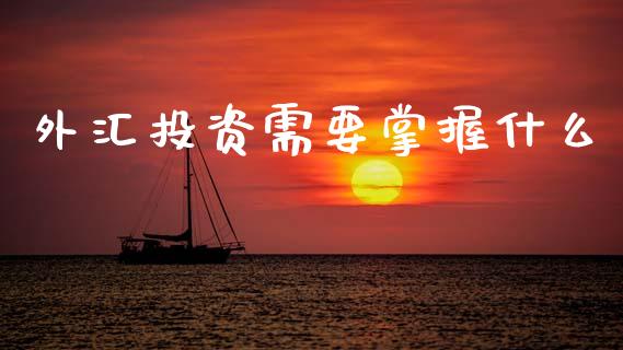 外汇投资需要掌握什么_https://wap.jnbaishite.cn_全球财富_第1张